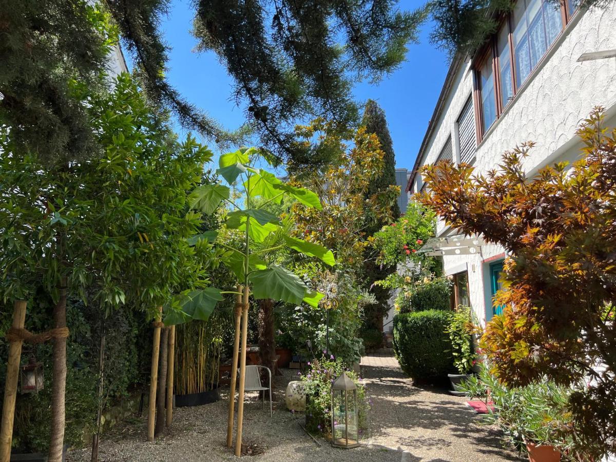 Haus Pia Executive Apartments フリードリヒスハーフェン エクステリア 写真