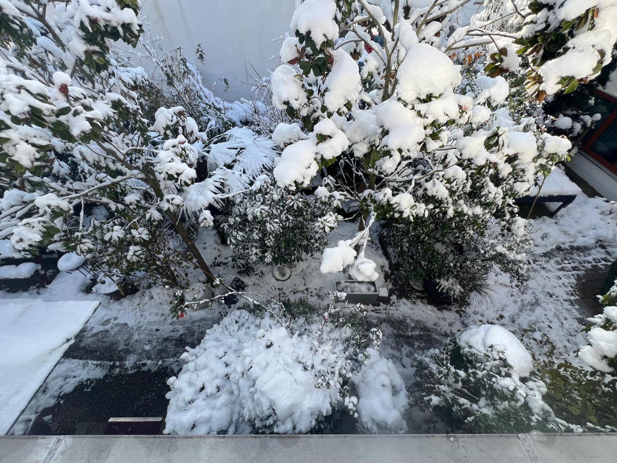 Haus Pia Executive Apartments フリードリヒスハーフェン エクステリア 写真