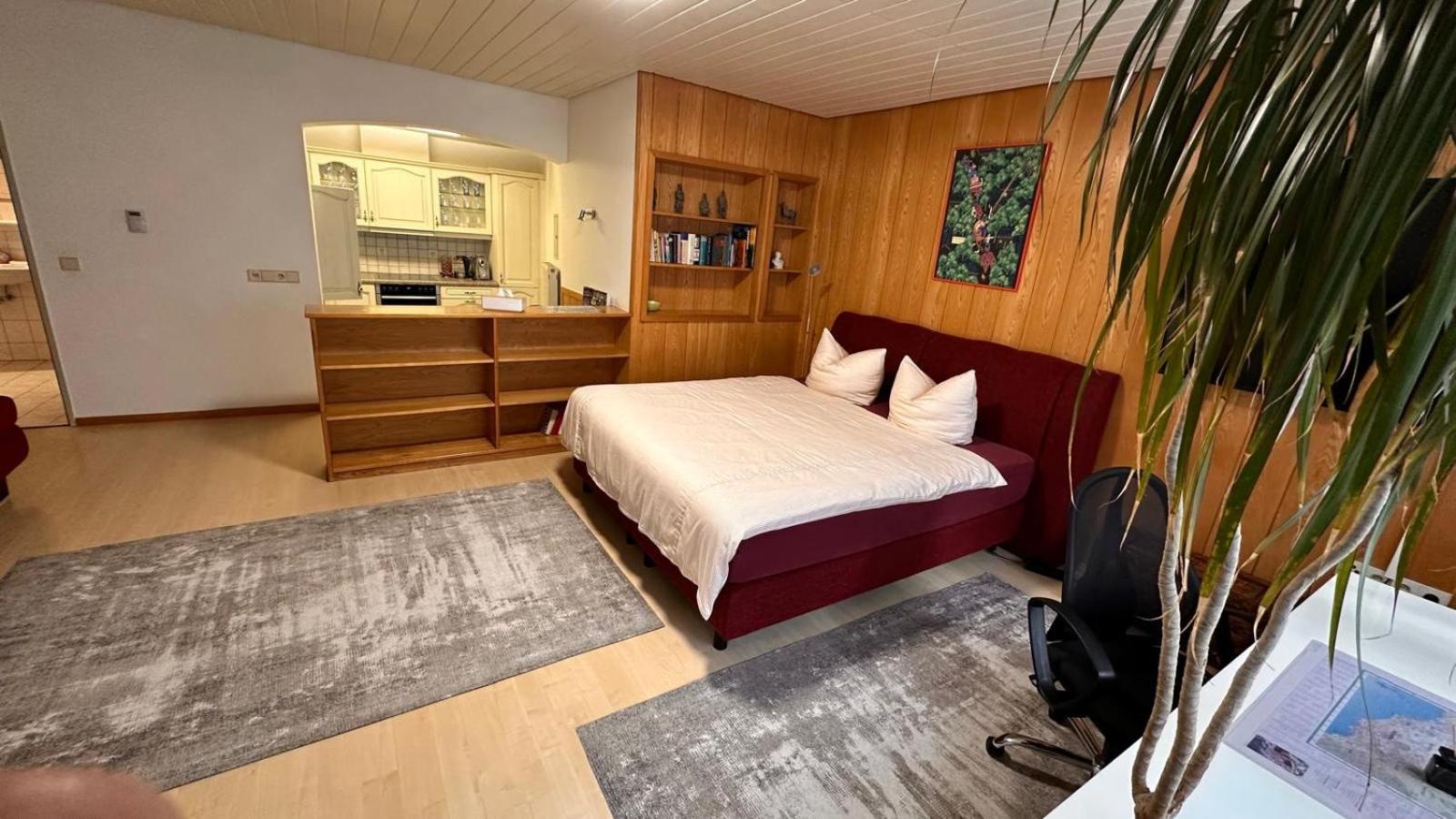 Haus Pia Executive Apartments フリードリヒスハーフェン エクステリア 写真